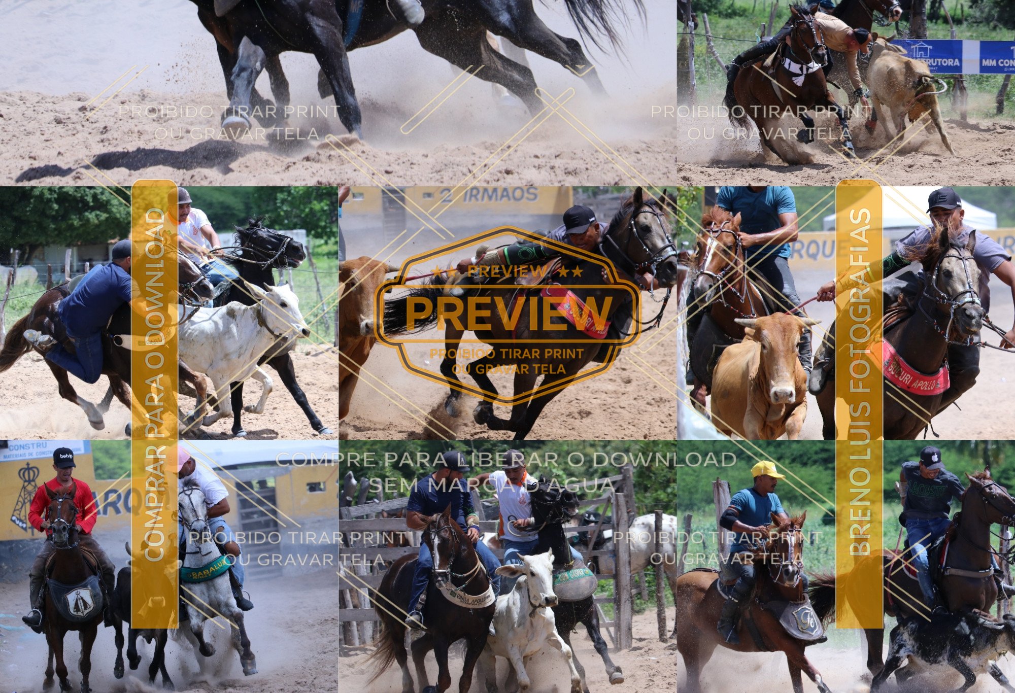 Destaque: Fotos e vídeos da Vaquejada no Parque Dois Irmãos, em Munduri, Padre Marcos - PI